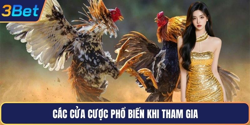 Các cửa cược phổ biến khi tham gia