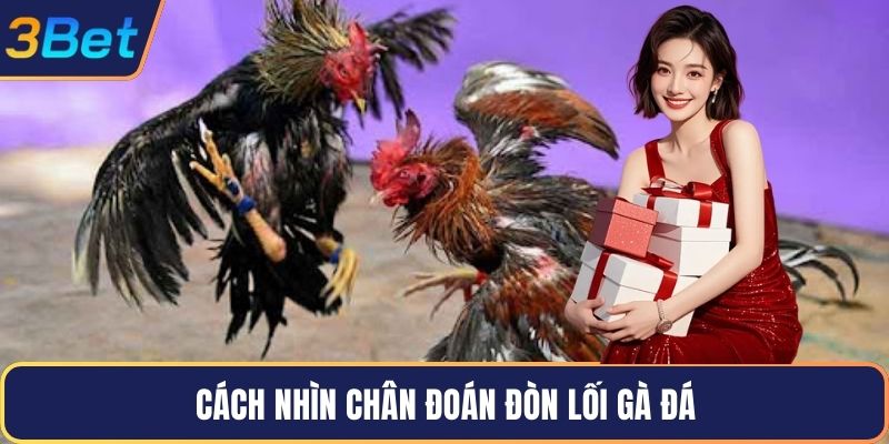 Cách nhìn chân đoán đòn lối gà đá