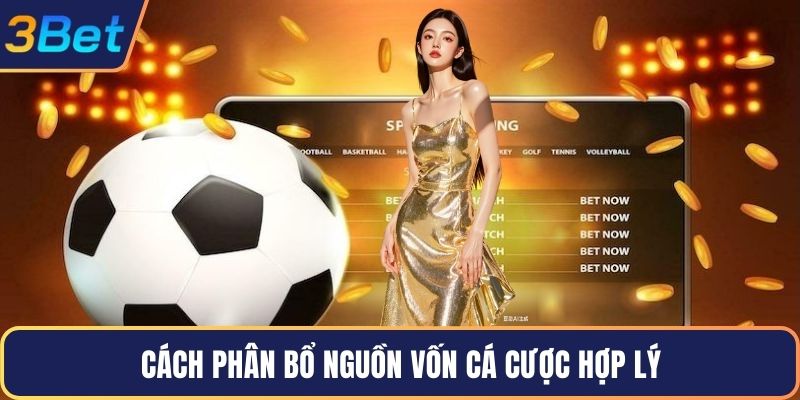 Cách phân bổ nguồn vốn cá cược hợp lý