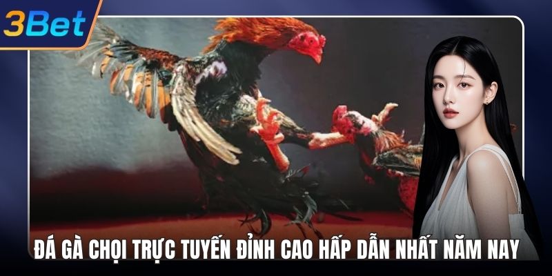 Đá gà chọi