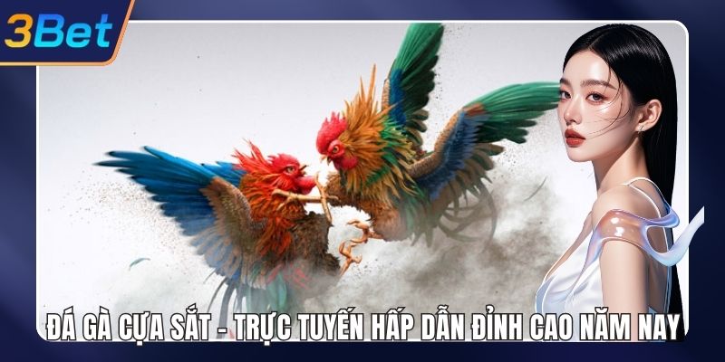Đá gà cựa sắt