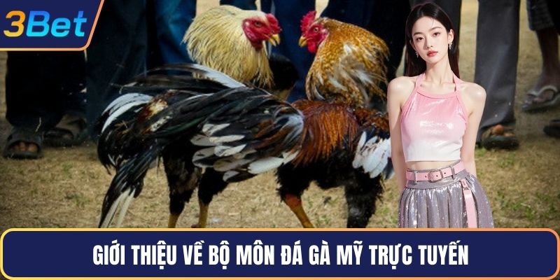 Giới thiệu về bộ môn đá gà mỹ trực tuyến
