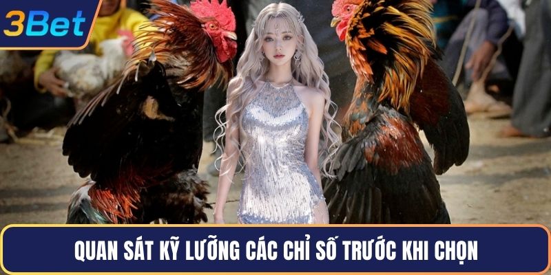 Quan sát kỹ lưỡng các chỉ số trước khi chọn