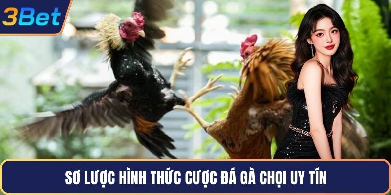 Sơ lược hình thức cược đá gà chọi uy tín